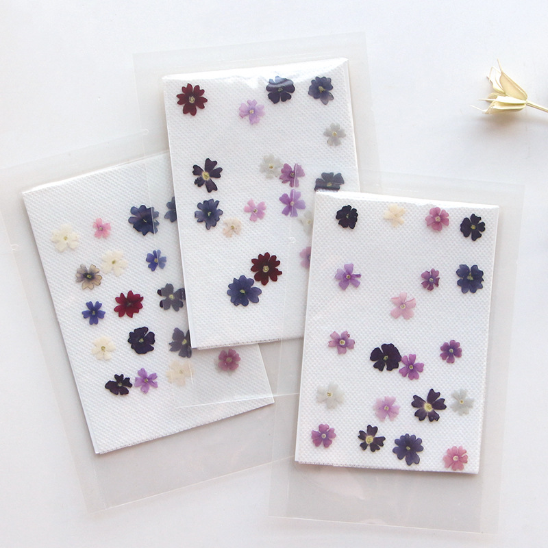 Photo Frame Baby - 40ชิ้น/ล็อตความงามขนาดเล็กกลีบดอกเชอร์รี่กดดอกไม้แท้แห้ง DIY กาวโทรศัพท์ที่คั่นหนังสือกรอบรูปตกแต่งใบหน้า