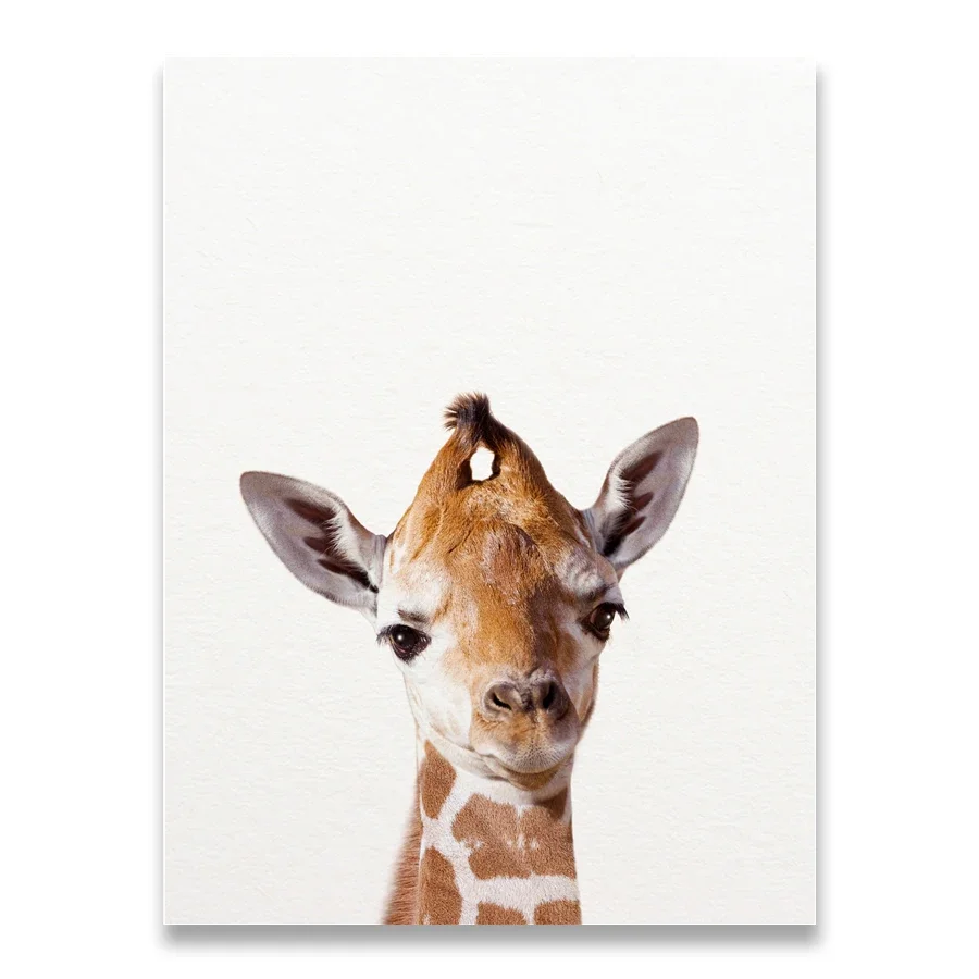 Baby Zebra Nursery - สิงโตม้าลายช้างยีราฟเด็กสัตว์ศิลปะพิมพ์โปสเตอร์ซาฟารีสัตว์ภาพภาพวาดผ้าใบเด็กเนอสเซอรี่ตกแต่งผนัง