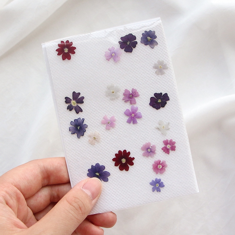 40ชิ้น/ล็อตความงามขนาดเล็กกลีบ - Photo Frame Baby บทวิจารณ์และราคา