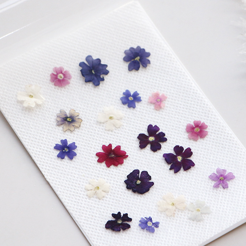 40ชิ้น/ล็อตความงามขนาดเล็กกลีบ - Photo Frame Baby บทวิจารณ์และราคา