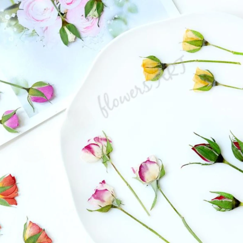 กลีบดอกกุหลาบอัดแห้ง DIY กรอบร - Photo Frame Baby บทวิจารณ์และราคา