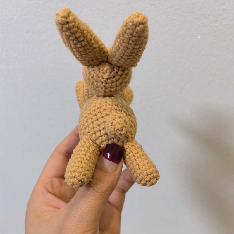 ของตกแต่งกระต่ายโครเชต์น่ารัก  - Baby Nursery Unisex บทวิจารณ์และราคา